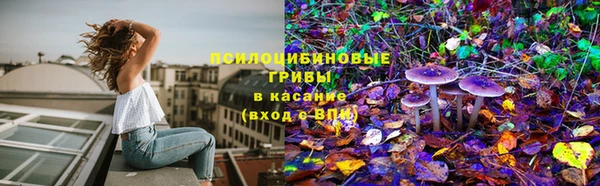 прущие крисы Алексеевка