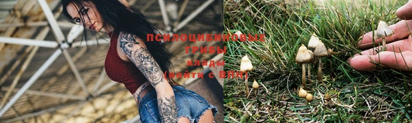 круглые Алексин