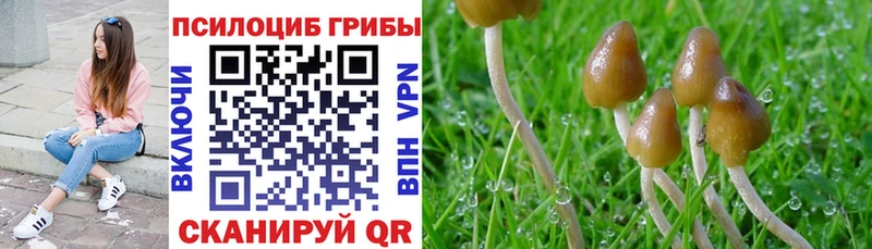 Галлюциногенные грибы GOLDEN TEACHER  Вышний Волочёк 